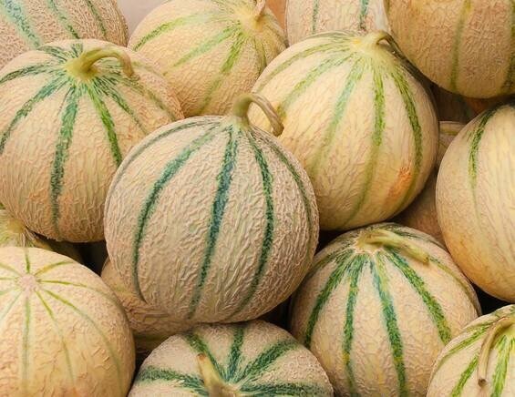 Melon /kg