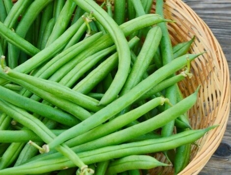 Haricots verts/kg (ramassés à la main)