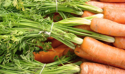 Carottes Fanes (botte)
