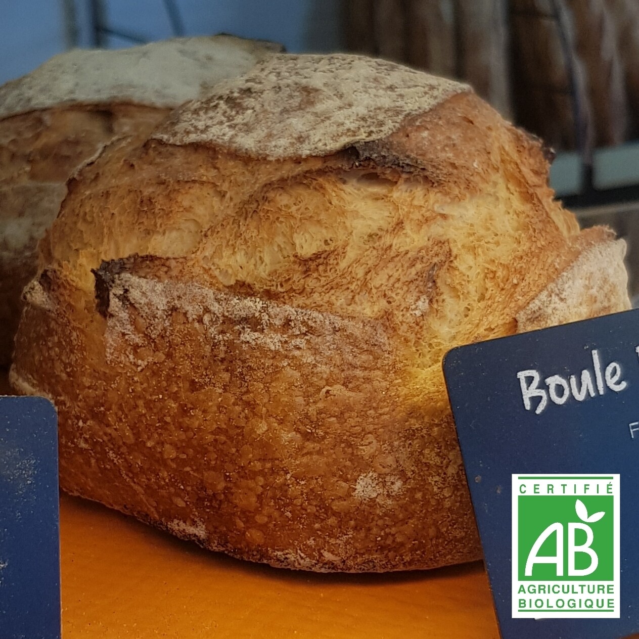 Pain petite boule Bio 250g