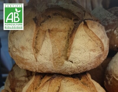 Pain Épeautre Bio 430g