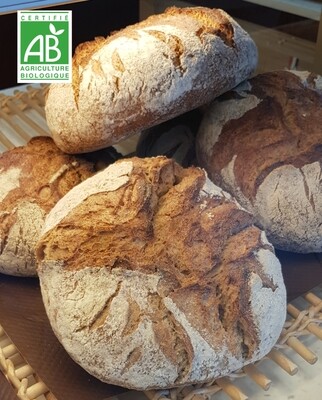 Pain Blé Ancien Bio