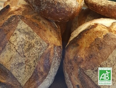 Pain Boule Bio Grande 550g