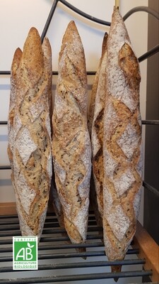 Malinette Bio 250g