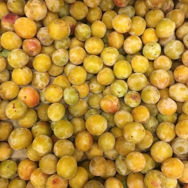 Prunes Type « Mirabelle » / kg Prunes Type « Mirabelle » / kg