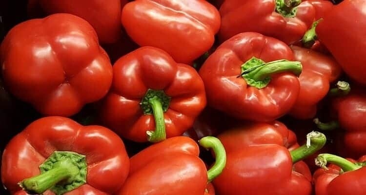 Poivrons rouges/kg