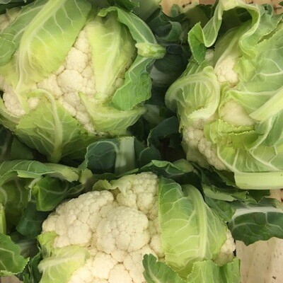 Chou Fleur (pièce) Chou Fleur (pièce)