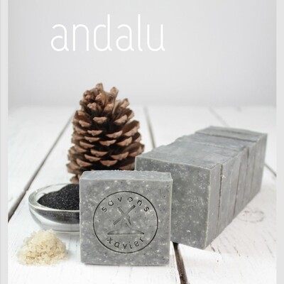 Savon Surgras Andalu 100g