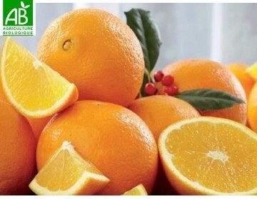 Oranges Bio/Kg