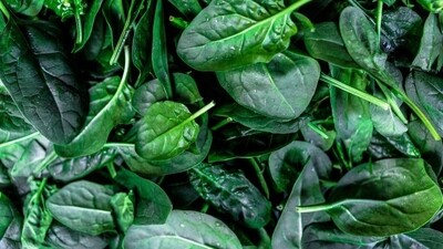 Epinards (500g)