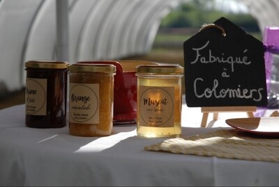 Confiture Abricot Verveine 230g Confiture Abricot Verveine 230g