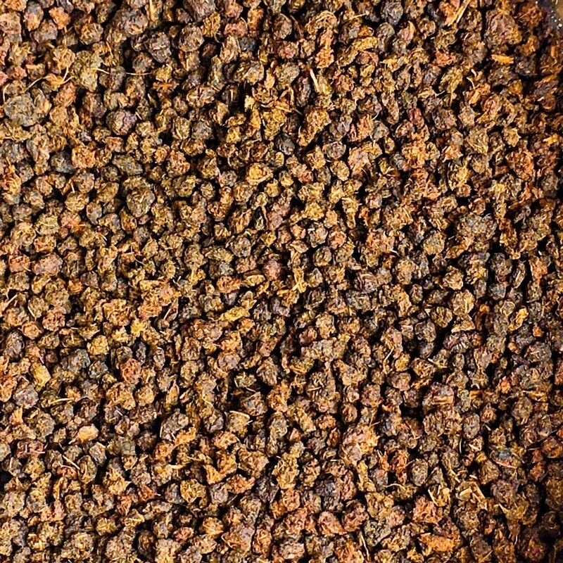 Thé noir Assam Rembeng - Inde Bio