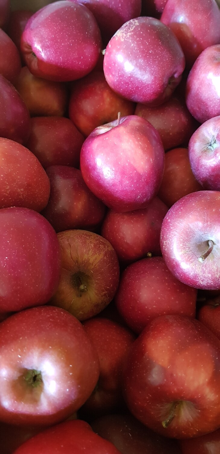 Pommes Red /Kg Pommes Red /Kg