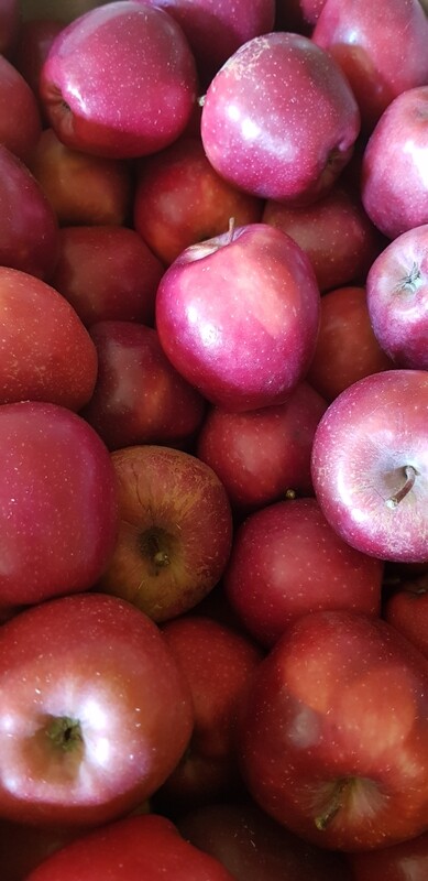 Pommes Red /Kg