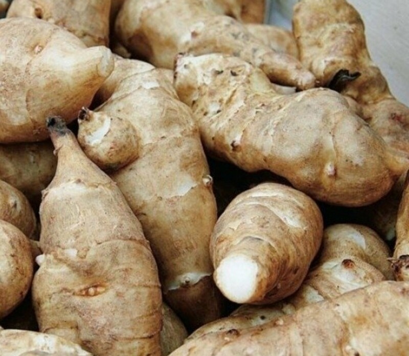 Topinambour/Kg