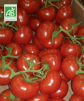 Tomates grappes /kg 