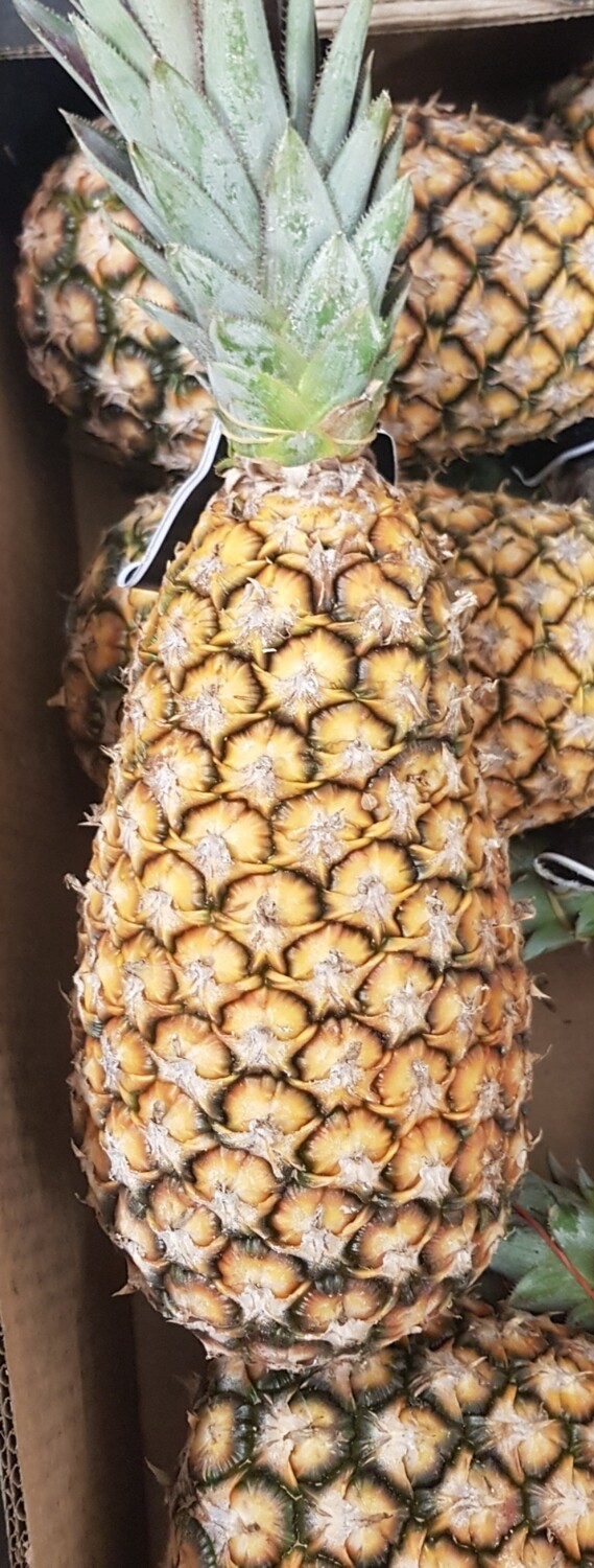 Ananas/kg