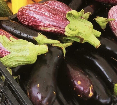 Aubergines violettes/kg