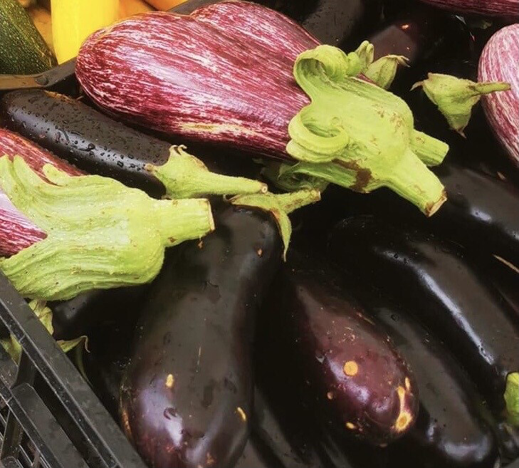 Aubergines violettes/kg