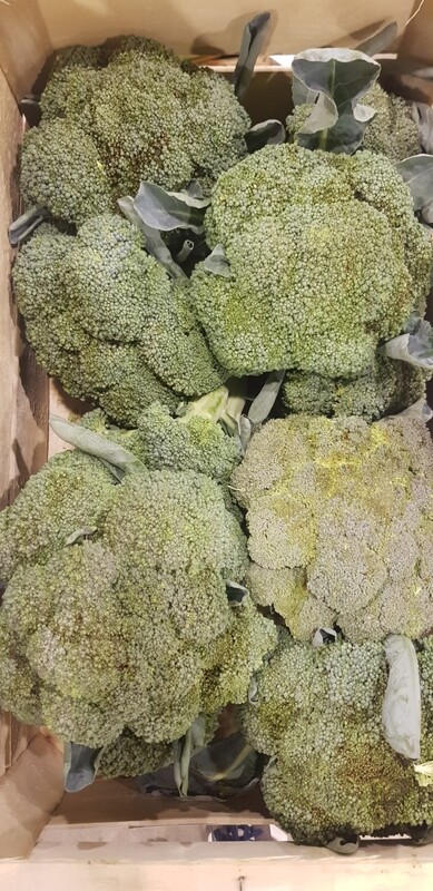 Brocolis/kg Brocolis/kg