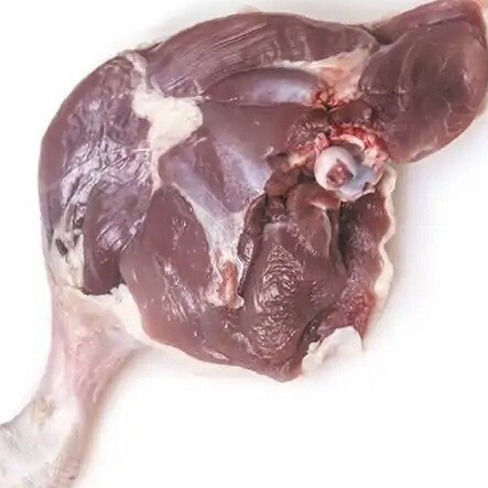 Cuisse de canard (pièce)