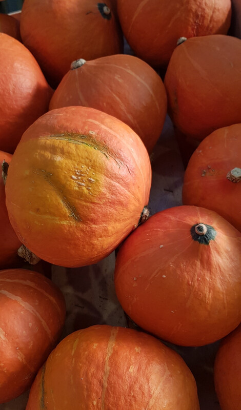 Potimarron /kg Potimarron /kg