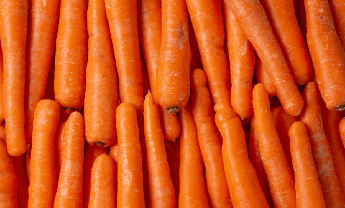 Carottes lavées BIO