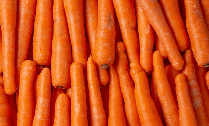 Carottes lavées BIO Carottes lavées BIO