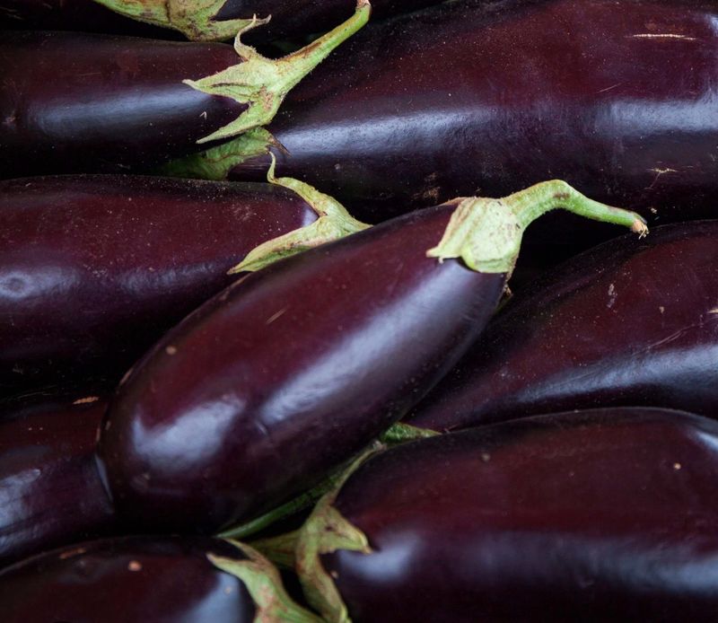 Aubergines BIO Aubergines BIO