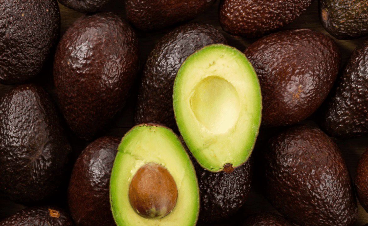 Avocat BIO Avocat BIO