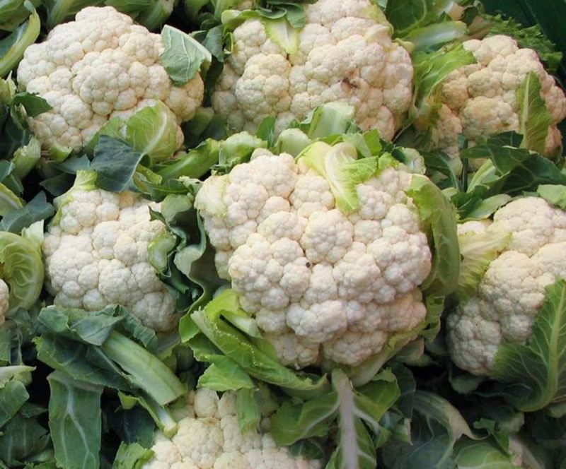 Chou Fleur Chou Fleur