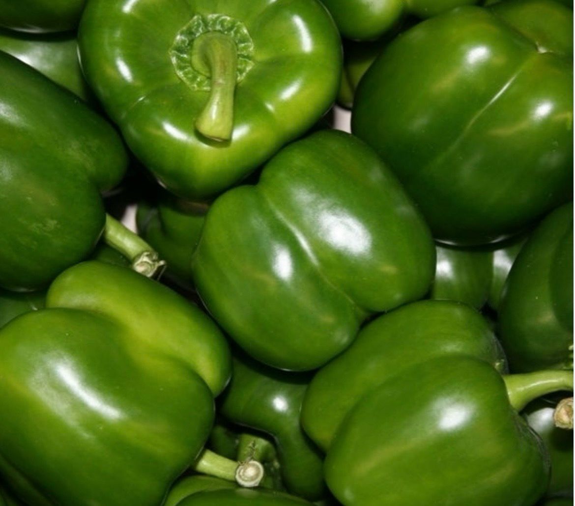 Poivrons verts Poivrons verts