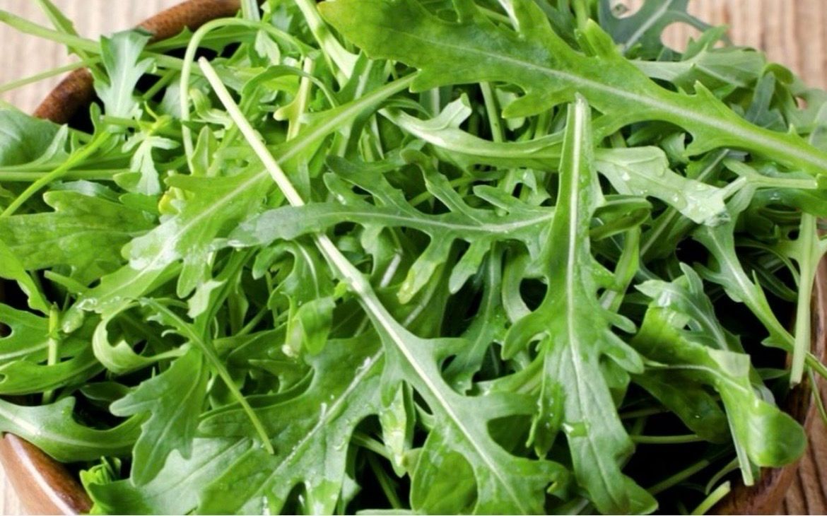 Roquette Roquette