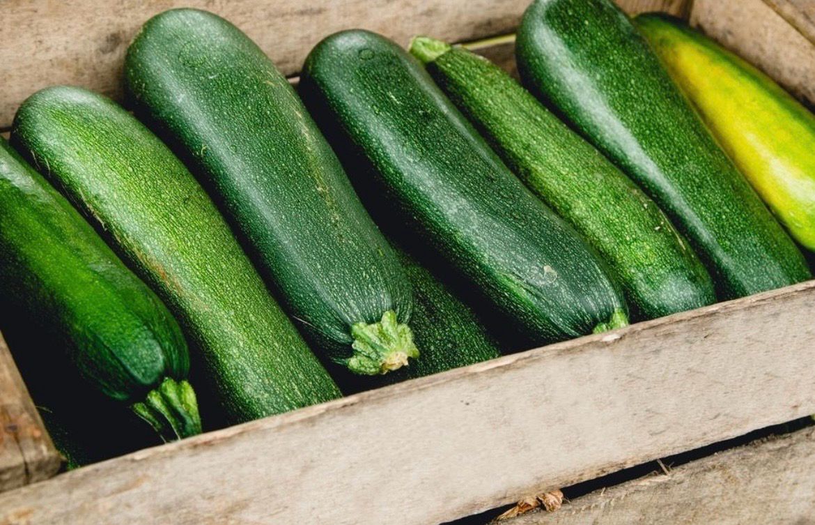 Courgettes vertes Courgettes vertes