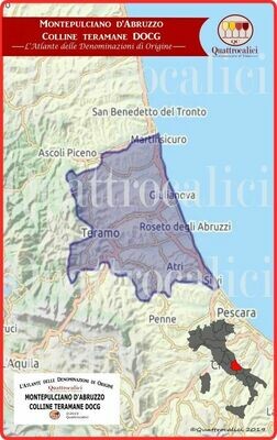 Montepulciano d&#39;Abruzzo Colline Teramane docg