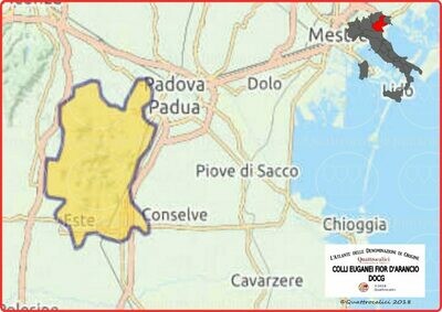 Colli Euganei Fior d&#39;Arancio docg