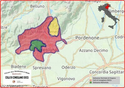 Colli di Conegliano docg