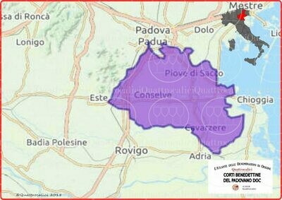 Corti Benedettine del Padovano doc