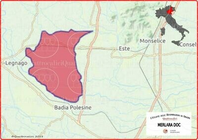 Montello e Colli Asolani doc