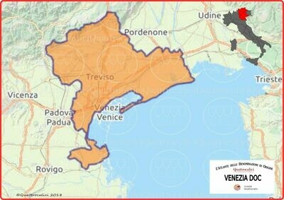 Venezia doc