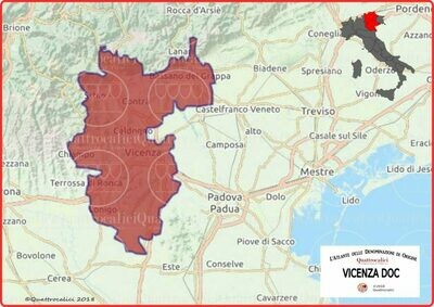 Vicenza doc
