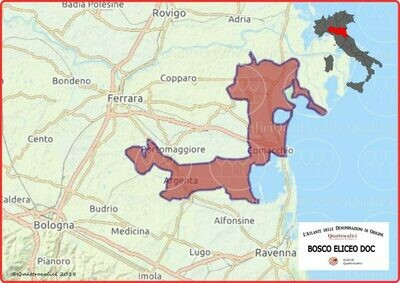Bosco Eliceo doc