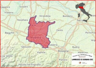Lambrusco di Sorbara doc