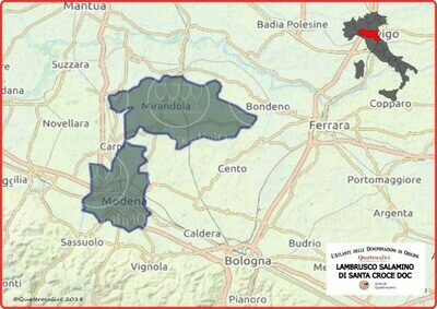 Lambrusco Salamino di Santa Croce doc