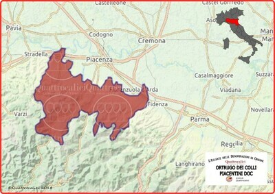 Ortrugo Colli Piacentini doc
