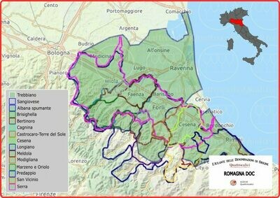 Sangiovese di Romagna doc