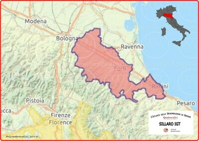 Sillaro o Bianco del Sillaro igt