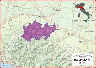 Terre di Veleja igt