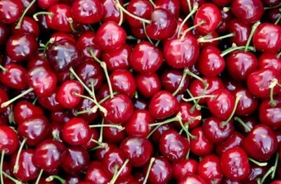 WIŚNIE (CILIEGIE)