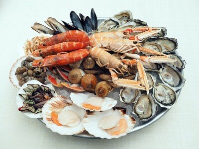 OWOCE MORZA (FRUTTI DI MARE)